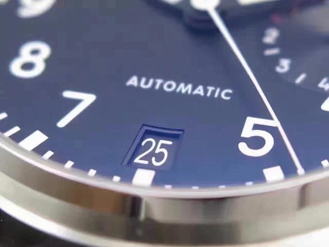Other IWC - Image 7