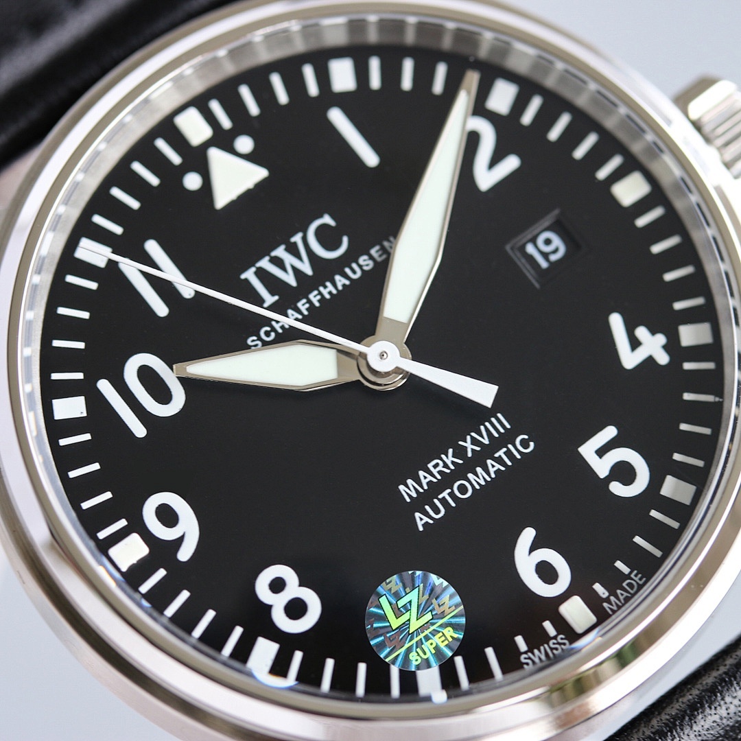 Other IWC - Image 4