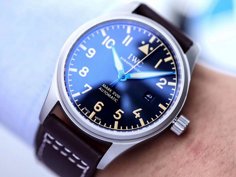 Other IWC, photo 1