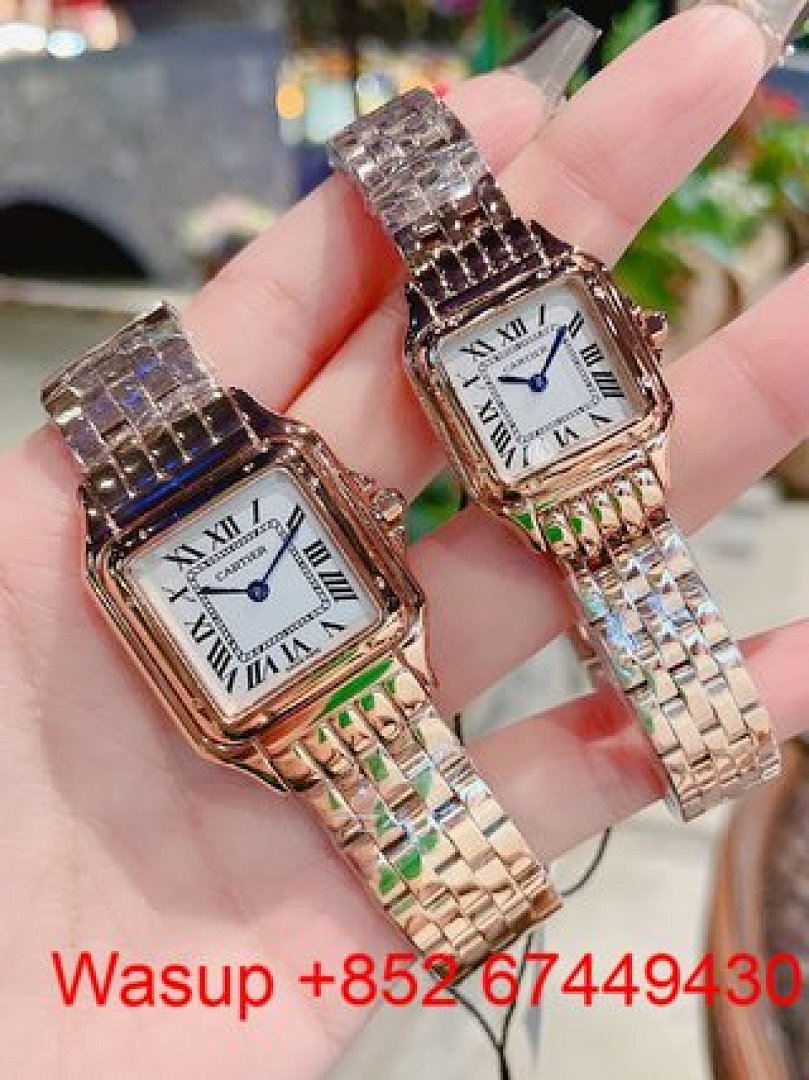 Other Panthere De Cartier Two Tone - Image 8