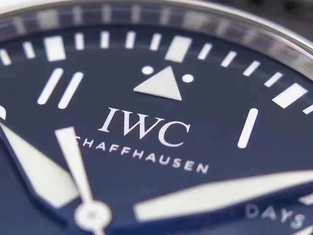 Other IWC - Image 8
