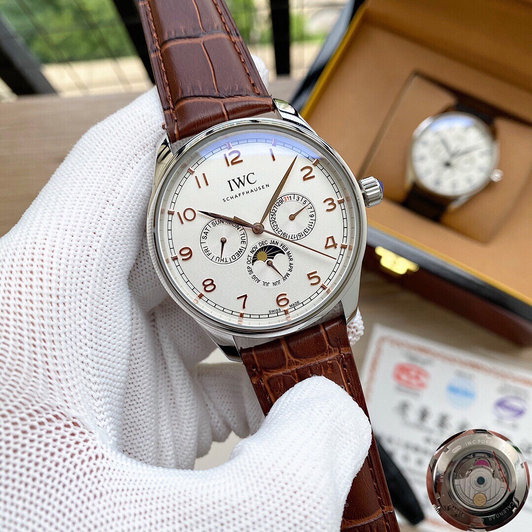 Other IWC - Image 4