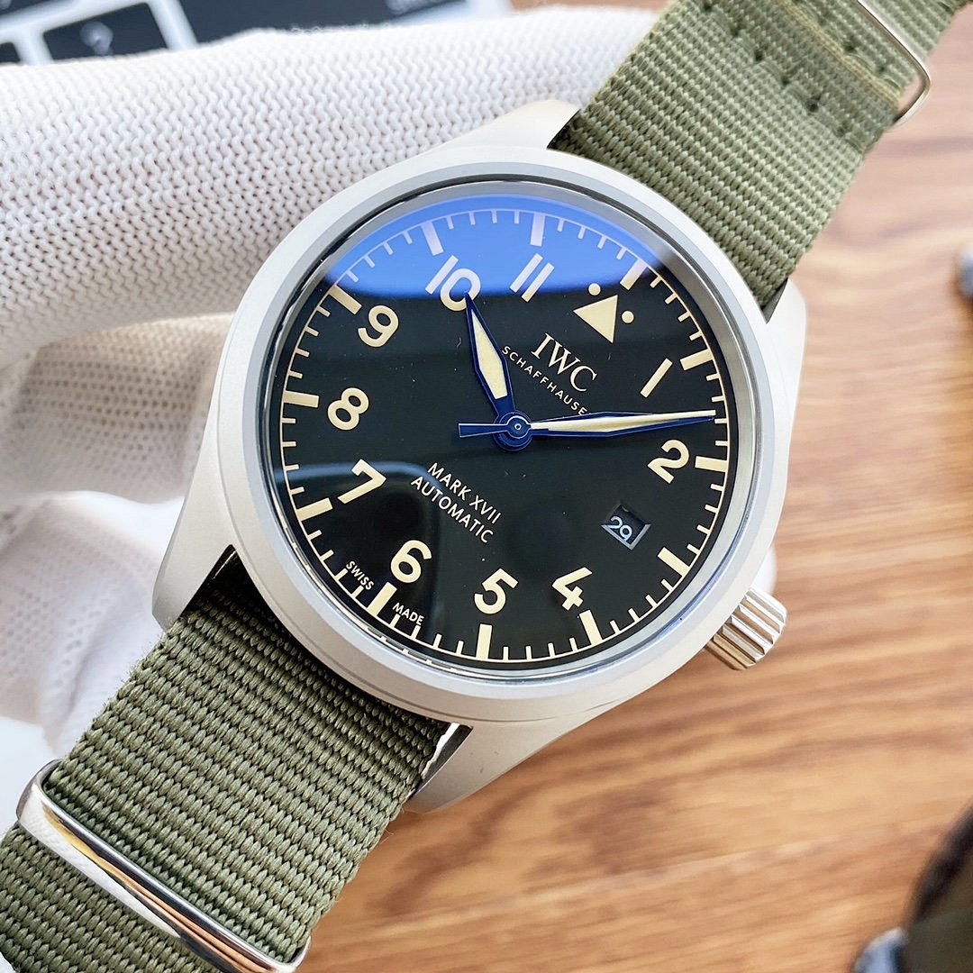 Other IWC - Image 3