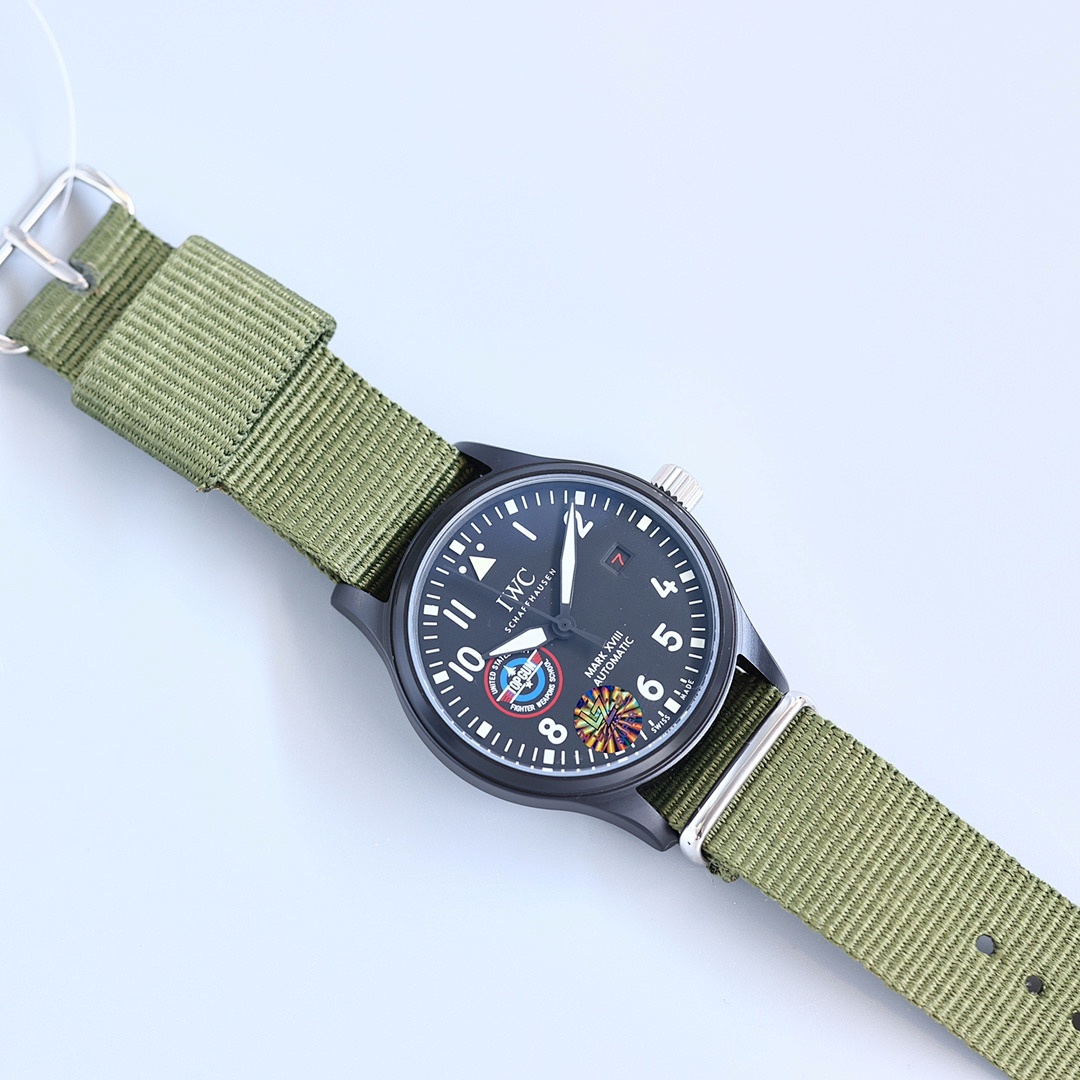 Other IWC - Image 4
