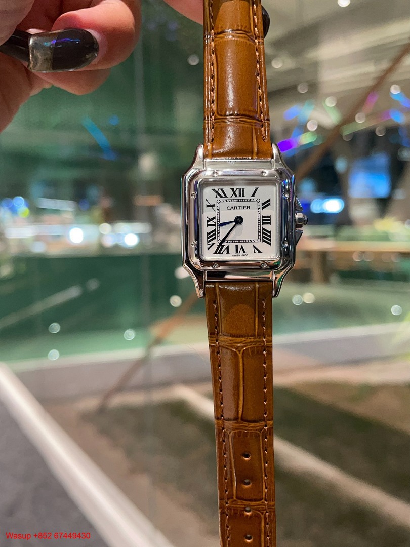 Other Panthere De Cartier WGPN0009 Stainless Steel Brown Band - Image 6