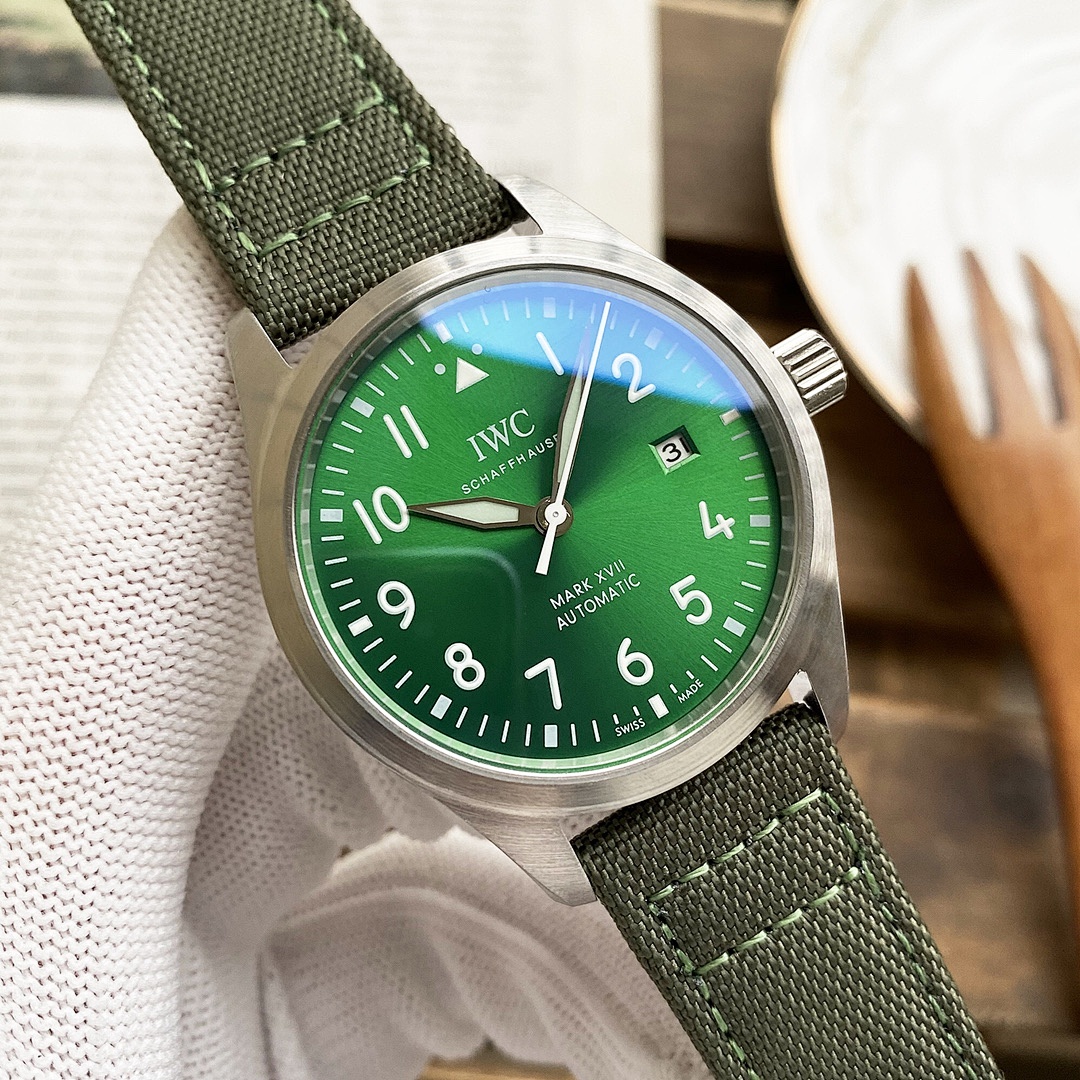 Other IWC - Image 3