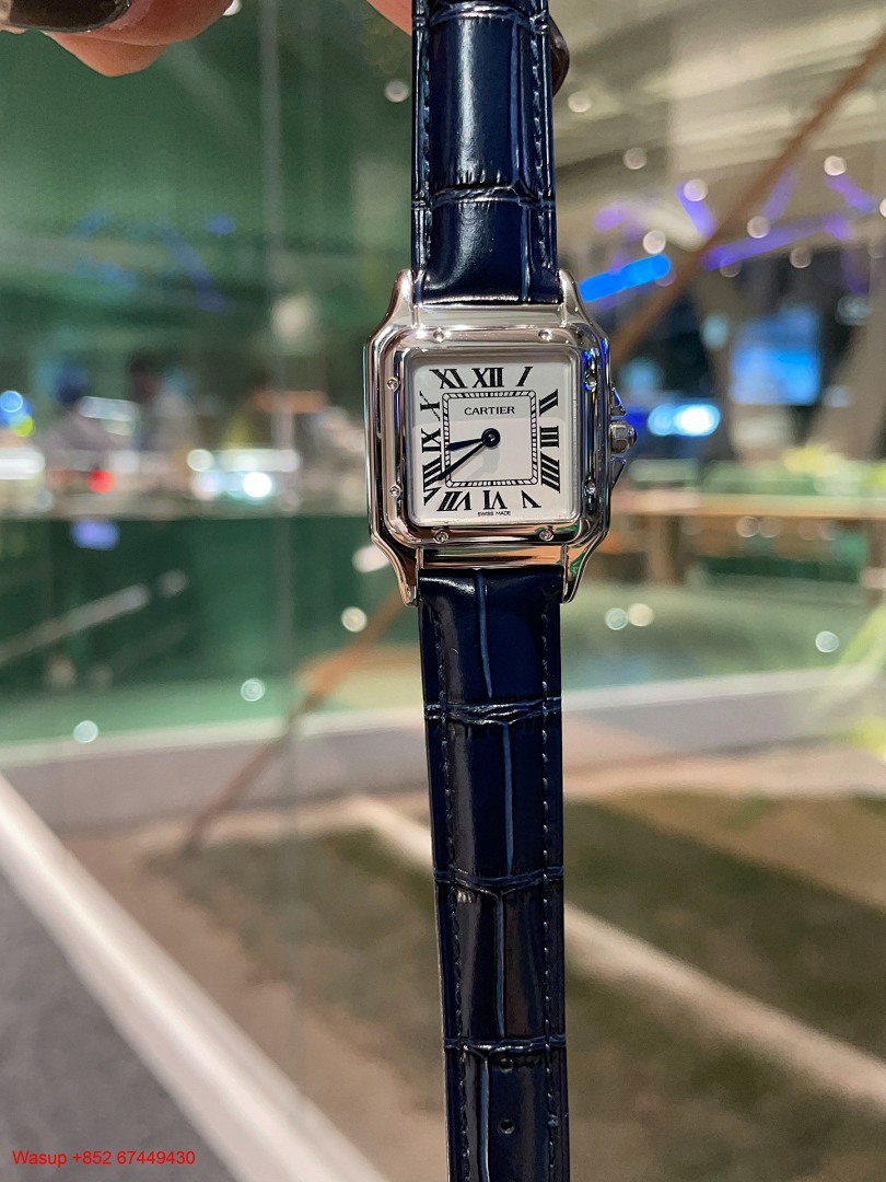 Other Panthere De Cartier WGPN0009 Stainless Steel Blue Band