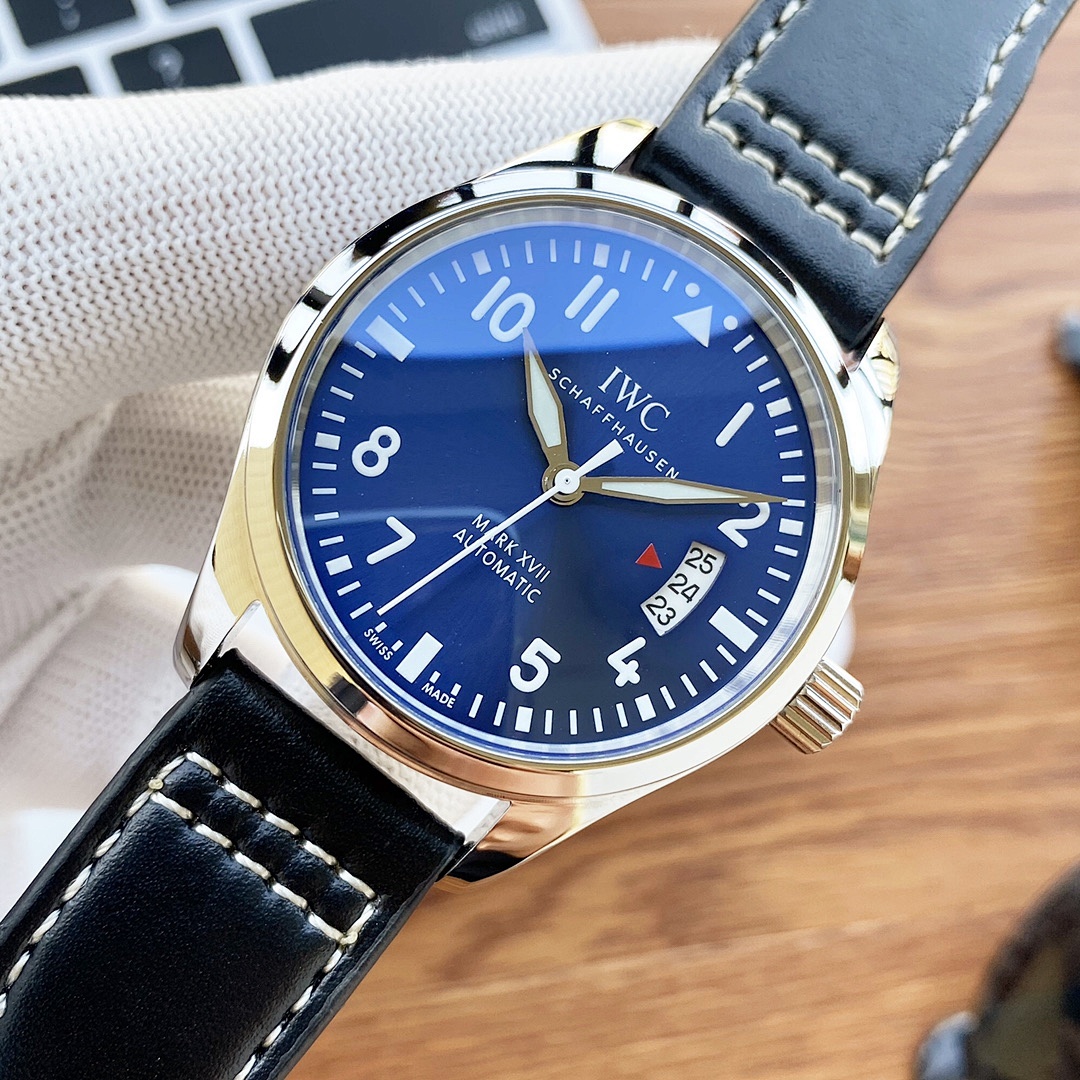 Other IWC - Image 5