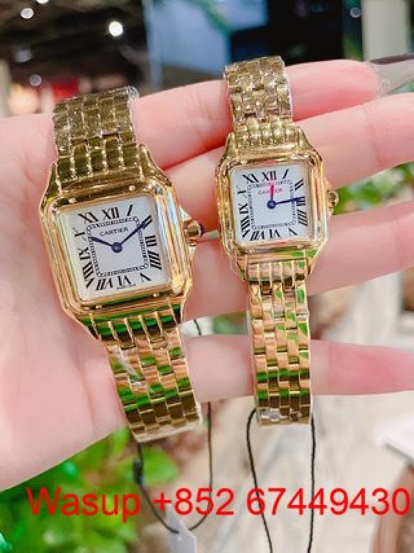 Other Panthere De Cartier Two Tone - Image 6