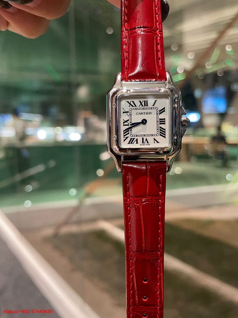 Other Panthere De Cartier WGPN0009 Stainless Steel Brown Band - Image 7