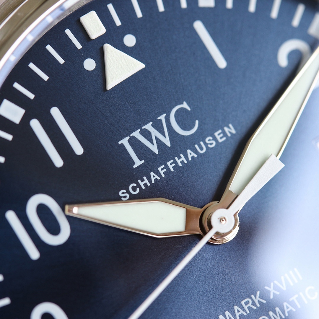 Other IWC - Image 4