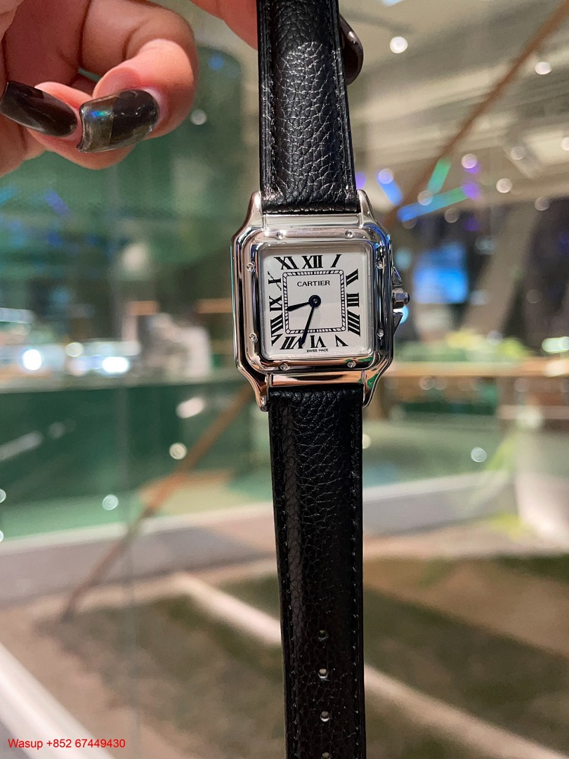 Other Panthere De Cartier WGPN0009 Stainless Steel Brown Band - Image 8