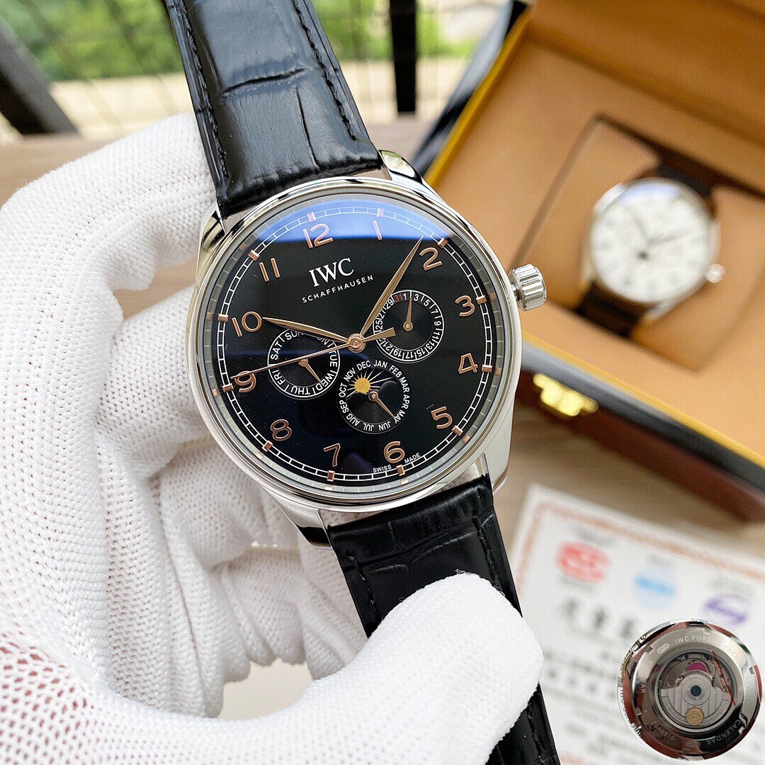 Other IWC - Image 5