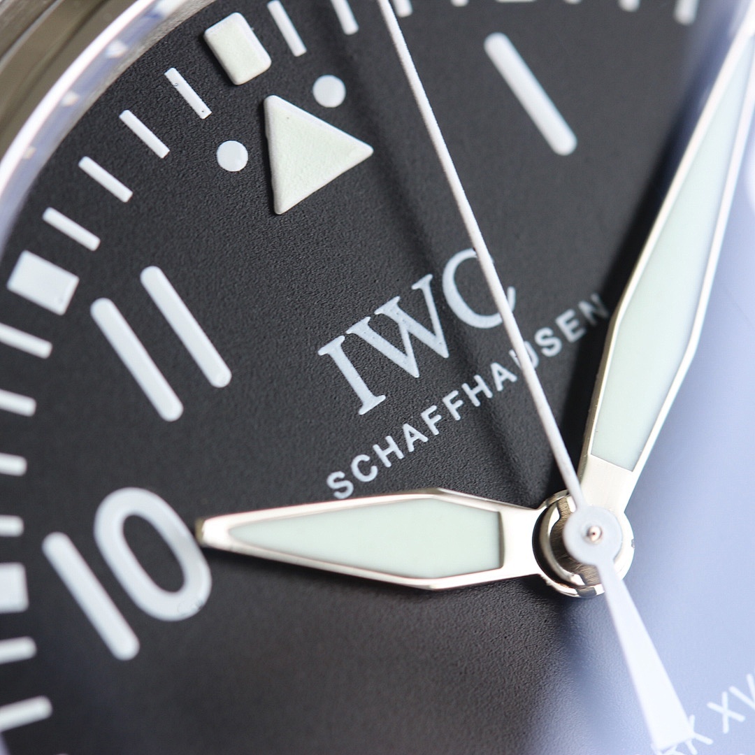 Other IWC - Image 5