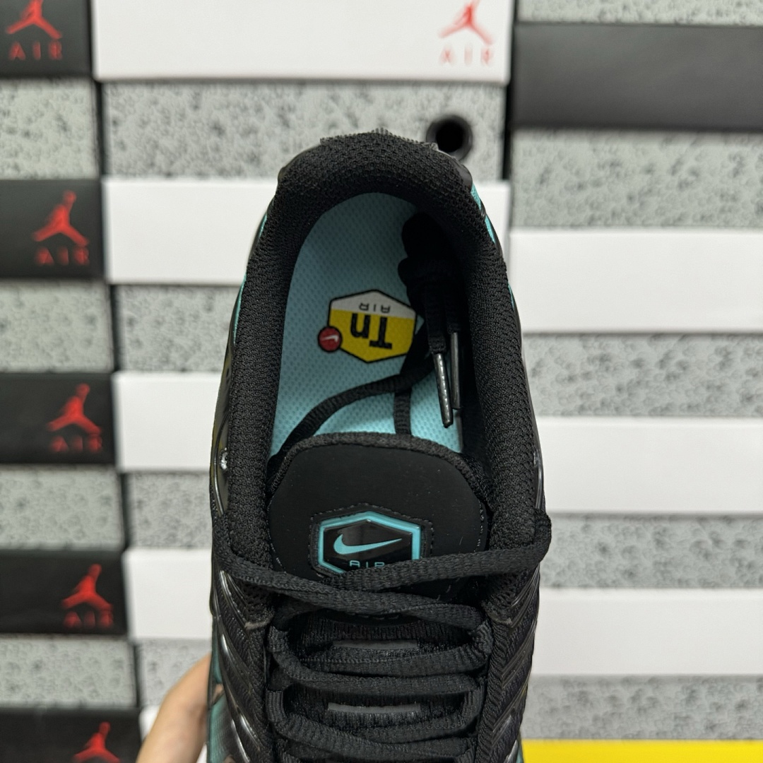 Nike Air Max Plus Black Dusty Cactus - Image 8