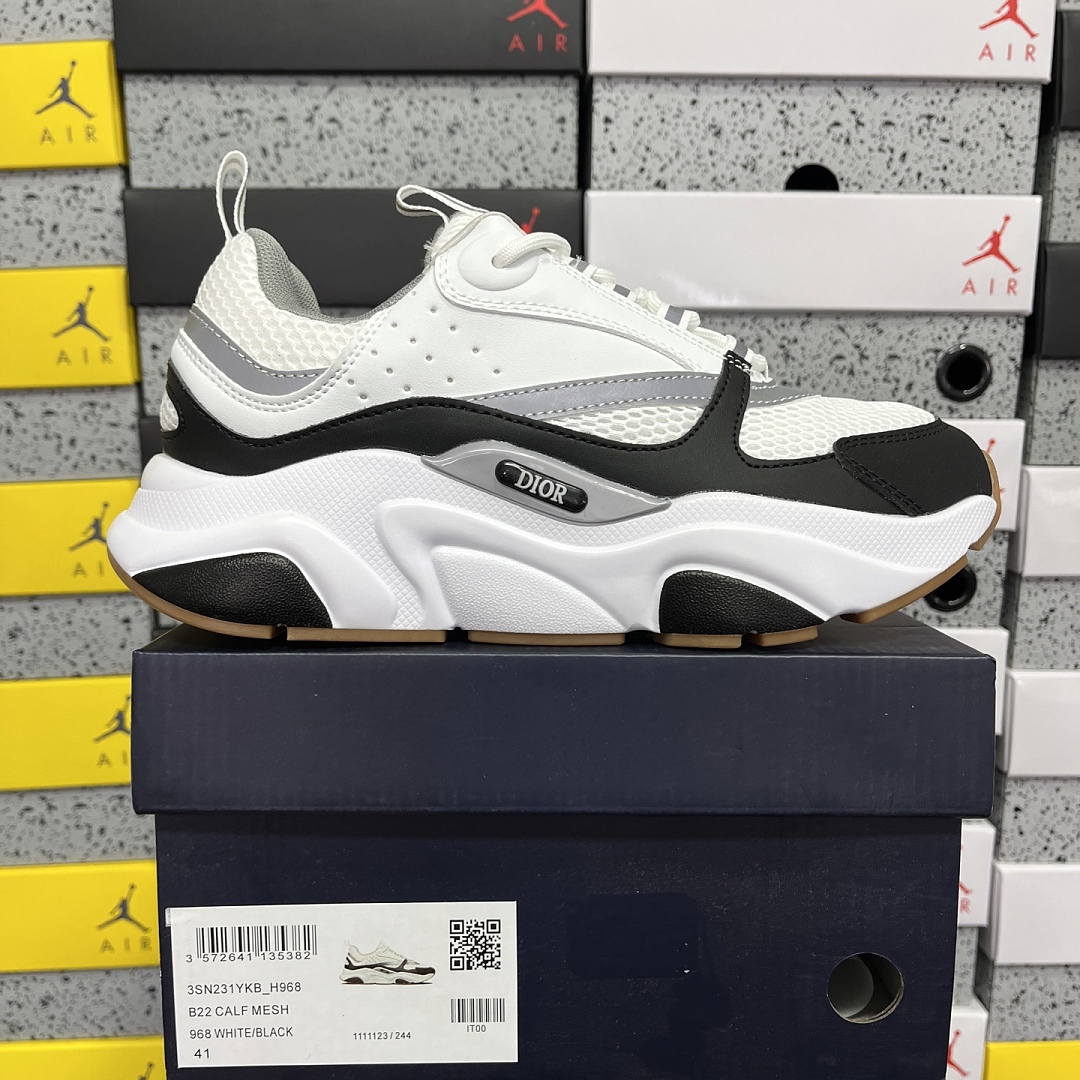 Dior B22