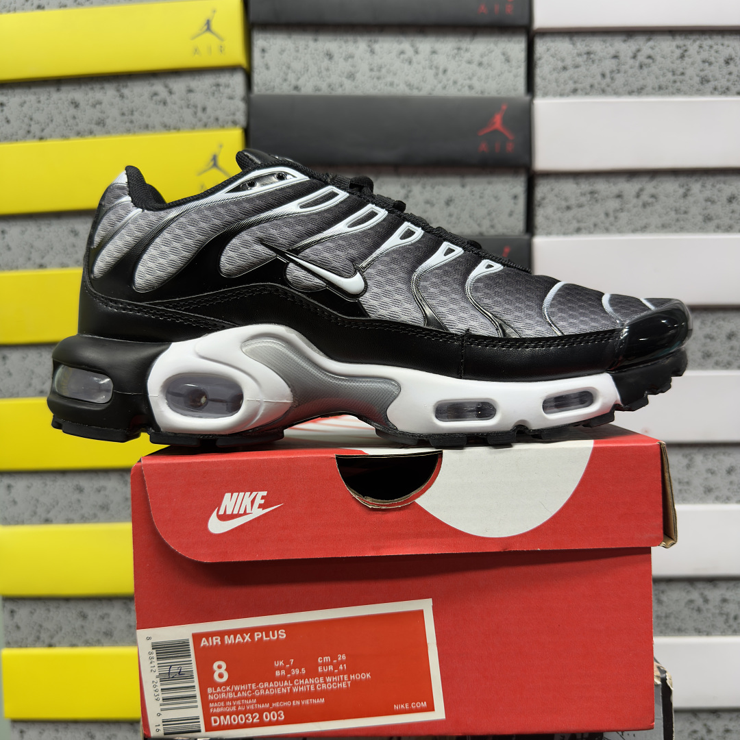 Nike Air Max Plus (Black Silver White)