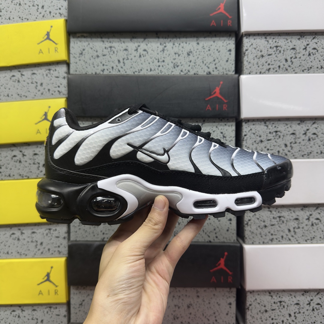 Nike Air Max Plus Black Silver White DM0032-003 - Image 2