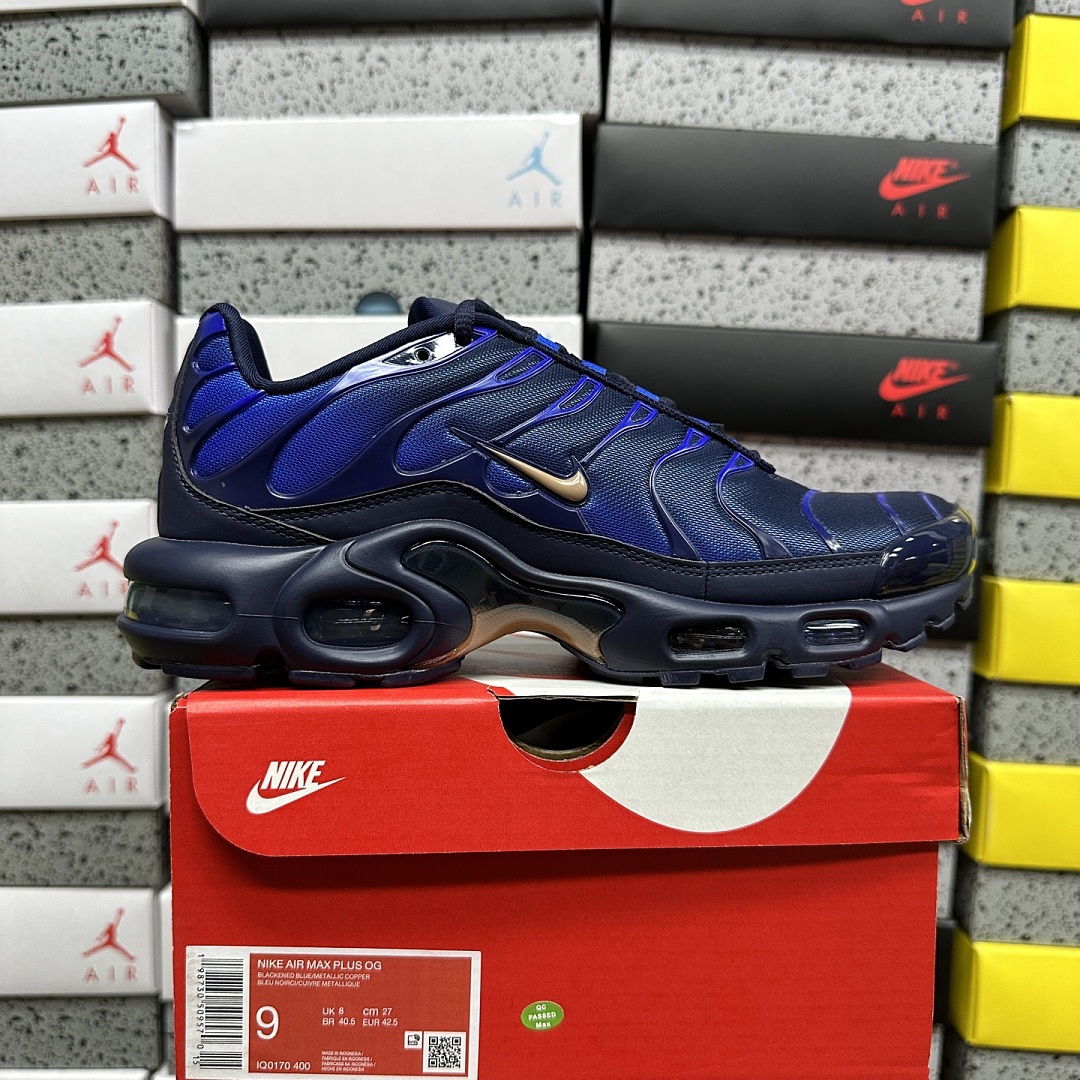 Nike Air Max Plus French Football Federation
