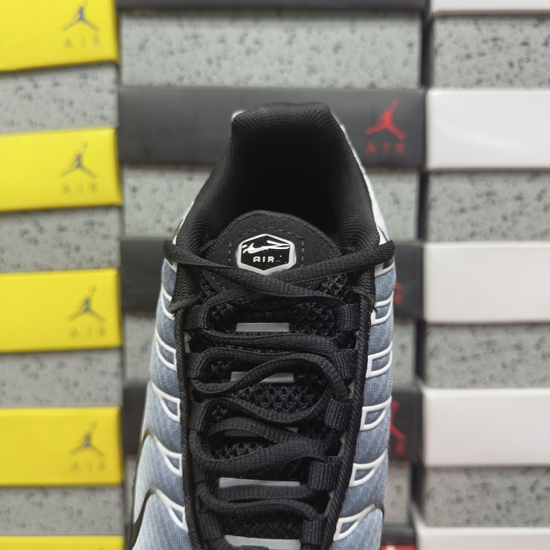 Nike Air Max Plus Black Silver White DM0032-003 - Image 5