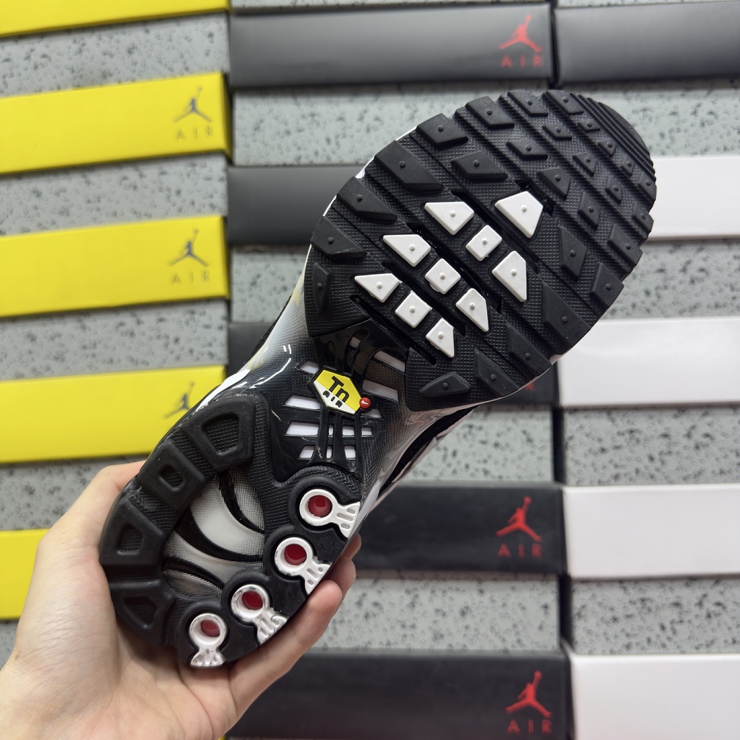 Nike Air Max Plus Black Silver White DM0032-003 - Image 4