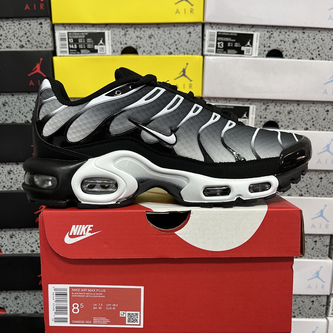 Nike Air Max Plus (Black Silver White)