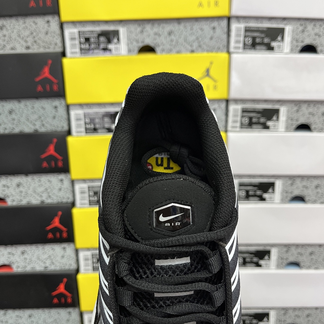 Nike Air Max Plus (Black Silver White) - Image 3