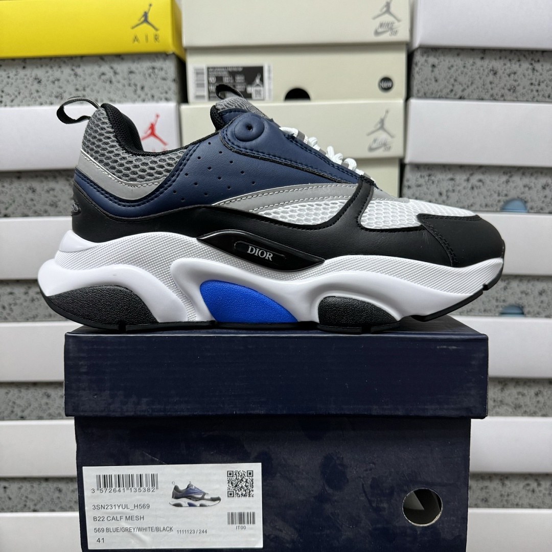 Dior B22 H569