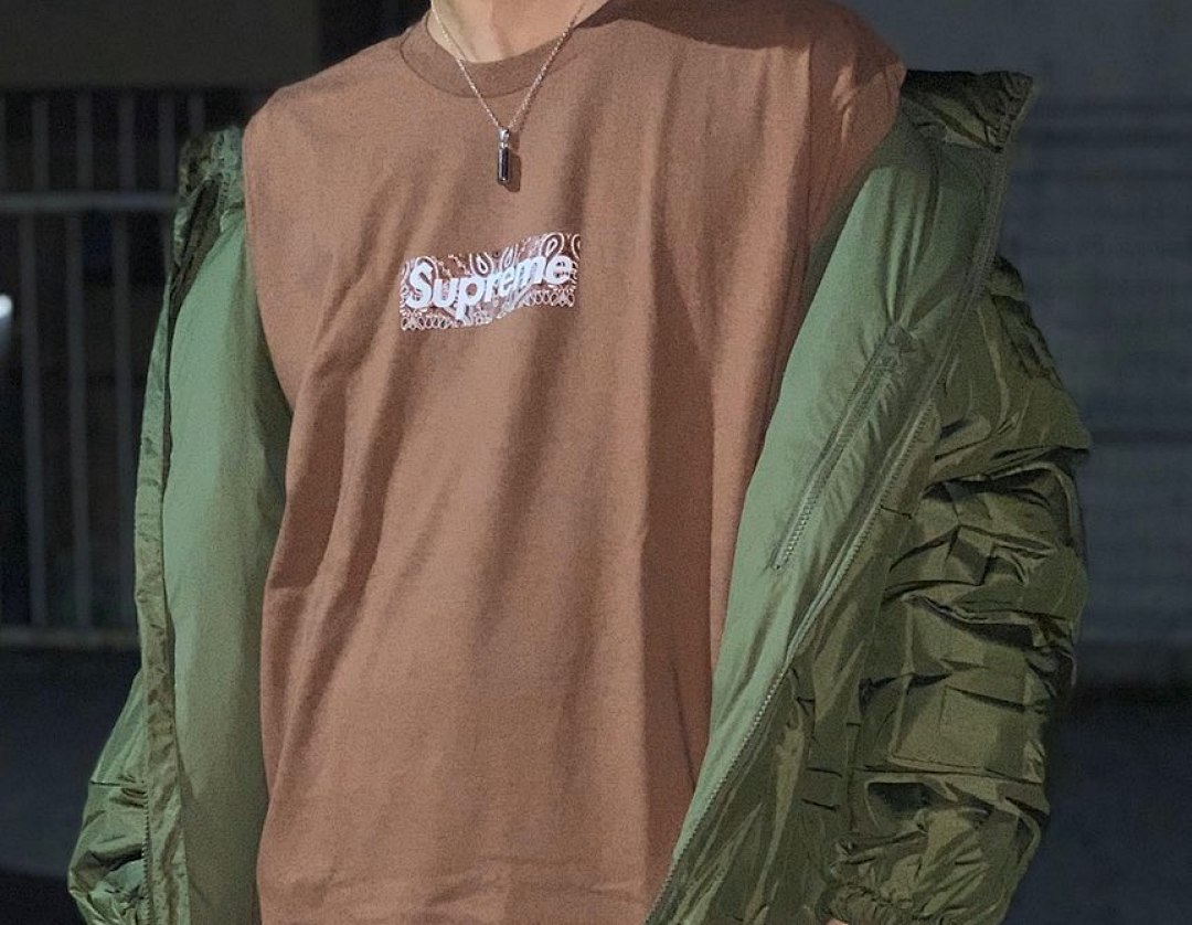 Supreme 118 Sup 19FW Bandana Box Logo Tee Fruit Floral Bogo Short Sleeve T Black White S M L XL - Image 51