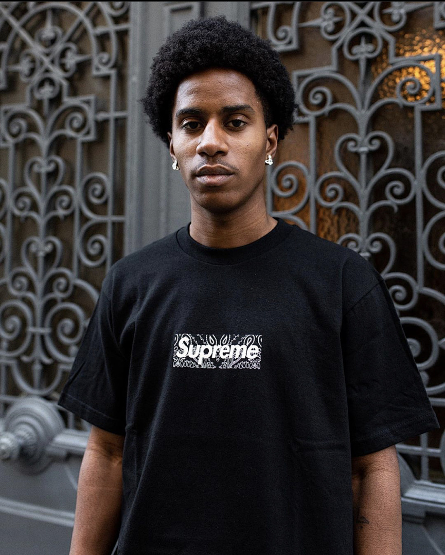 Supreme 118 Sup 19FW Bandana Box Logo Tee Fruit Floral Bogo Short Sleeve T Black White S M L XL - Image 39