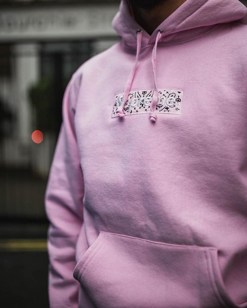 Supreme 248 Fruit Floral Embroidered Label SUP Bandana Box Logo Hooded Sweatshirt BOXLOGO Velvet Black Grey Red Pink Sky Blue S-XL S303# - Image 118