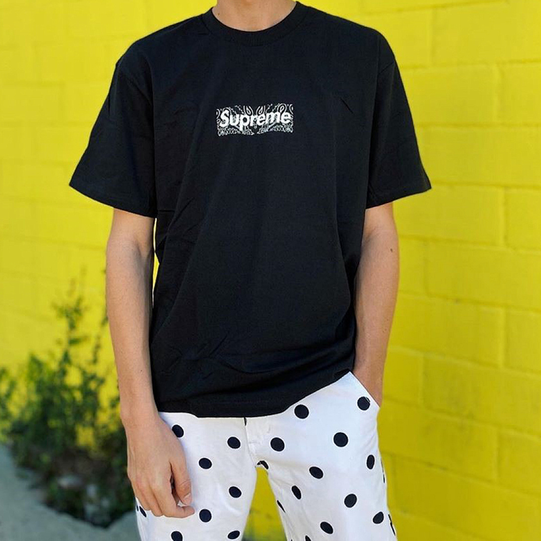 Supreme 118 Sup 19FW Bandana Box Logo Tee Fruit Floral Bogo Short Sleeve T Black White S M L XL - Image 38