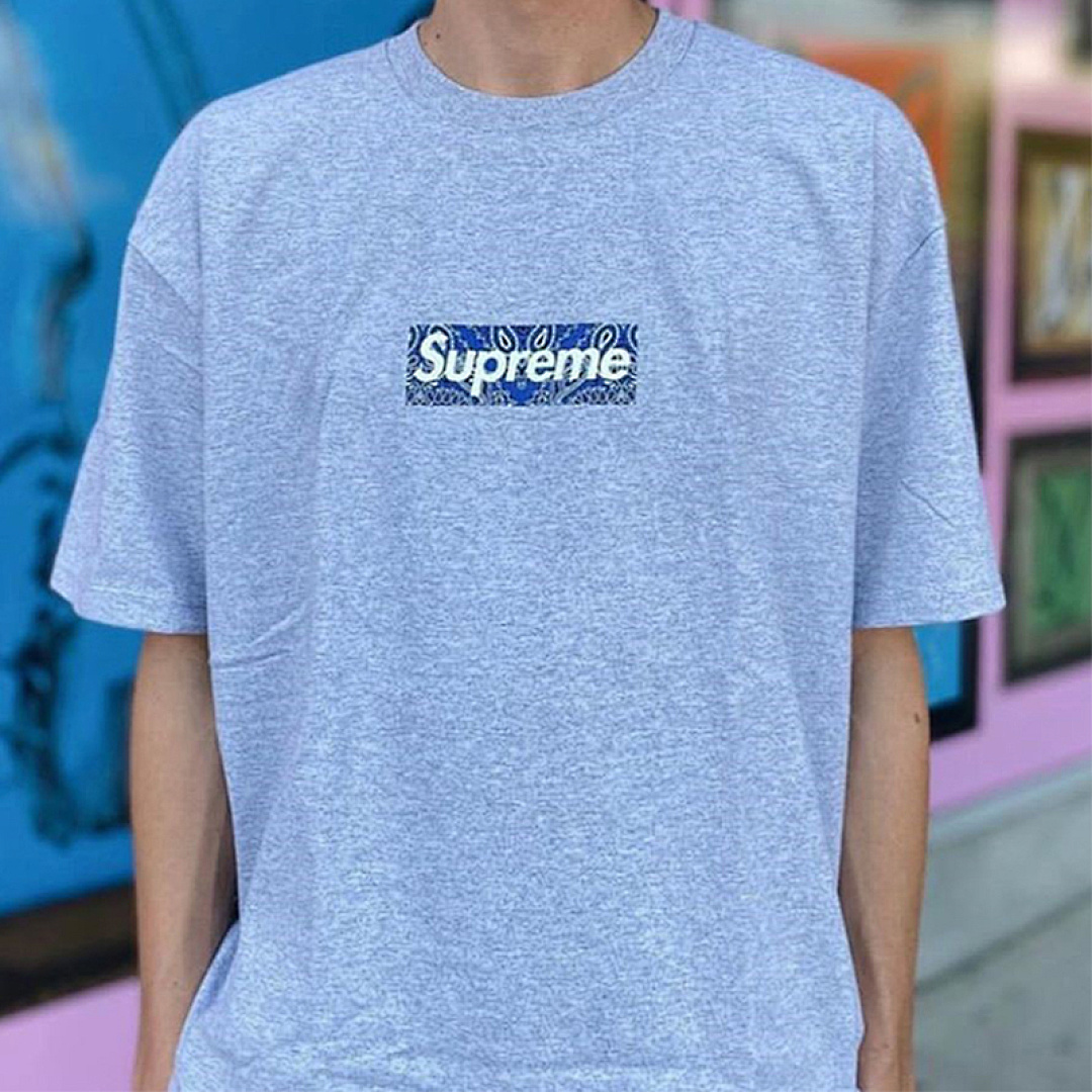 Supreme 118 Sup 19FW Bandana Box Logo Tee Fruit Floral Bogo Short Sleeve T Black White S M L XL - Image 47