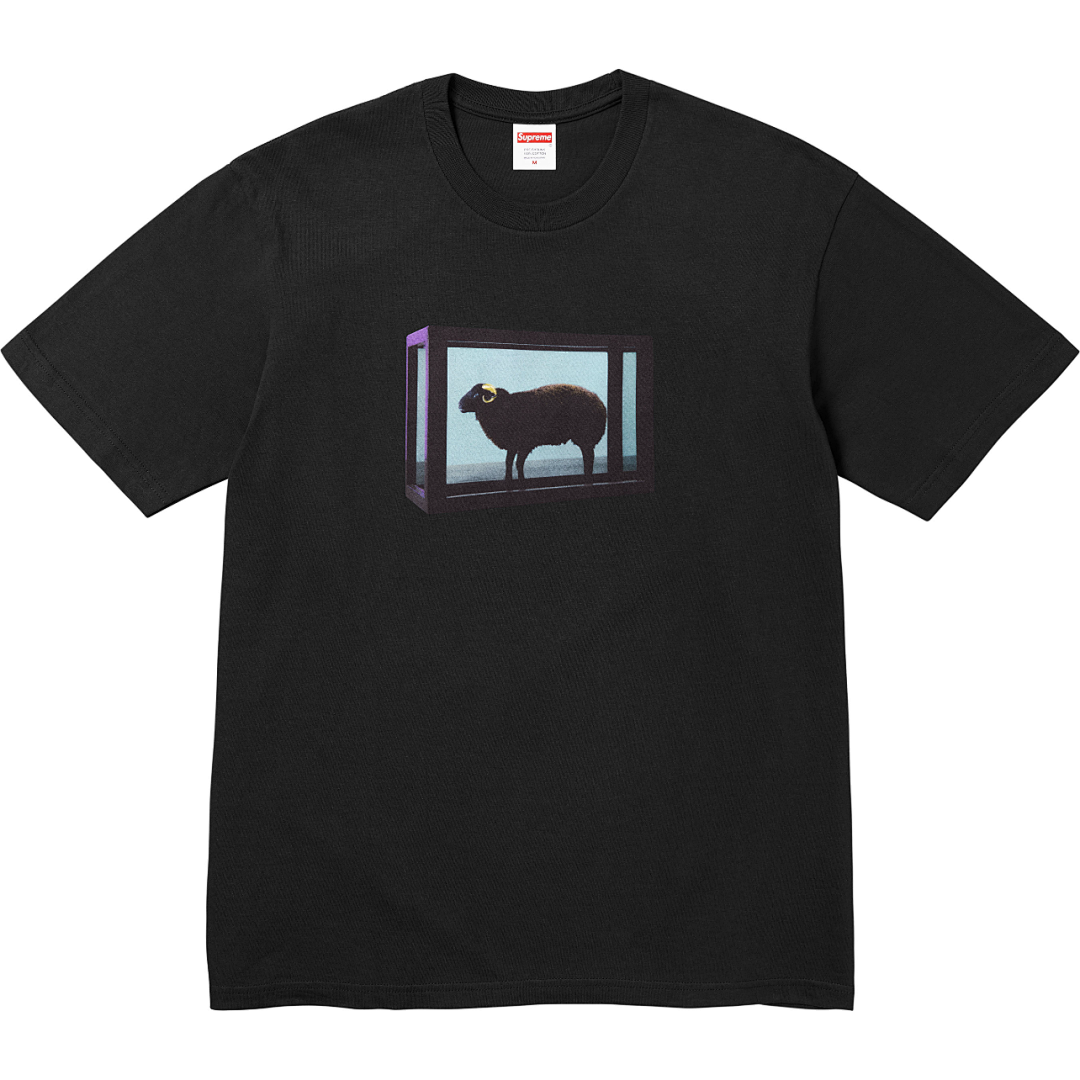 Supreme 128 25SS Damien Hirst Collab Gold Mountain Short Sleeve T Black White S-XL