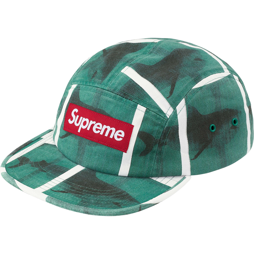 Supreme 138 Sup 25SS Damien Hirst Camp Cap Mountain (Black)