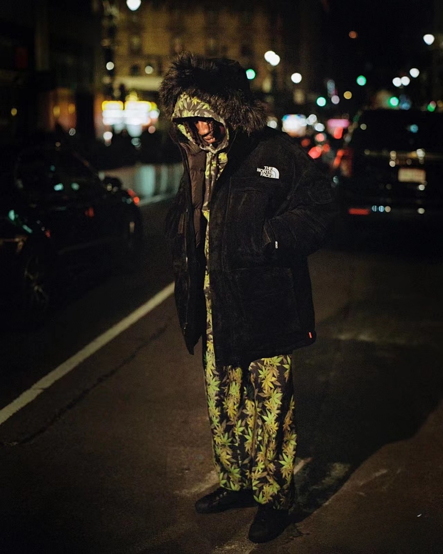 The North Face 338 TNF Collab FW23 THE LEAF HOODED Black (Green White S M L) - Image 5