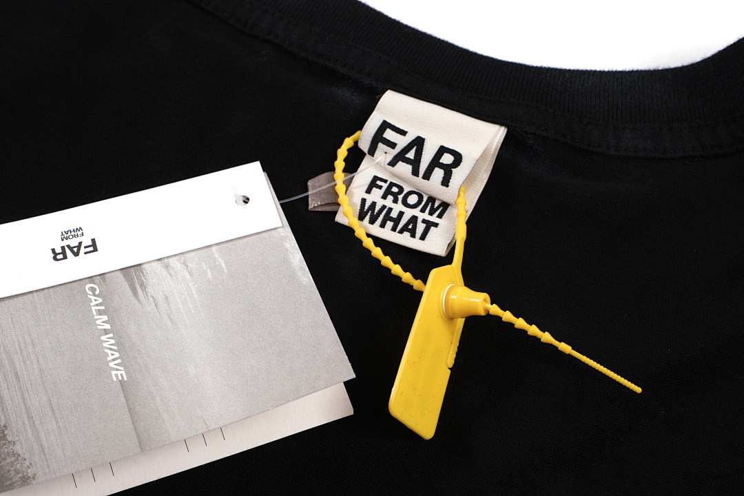 Arc'teryx 138 FAR.ARCHIVE Label LOGO Print Long Sleeve T Grey Blue Black S-L 3255# - Image 14