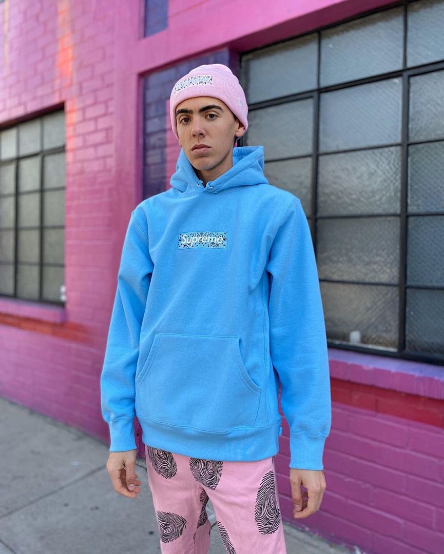Supreme 248 Fruit Floral Embroidered Label SUP Bandana Box Logo Hooded Sweatshirt BOXLOGO Velvet Black Grey Red Pink Sky Blue S-XL S303# - Image 105