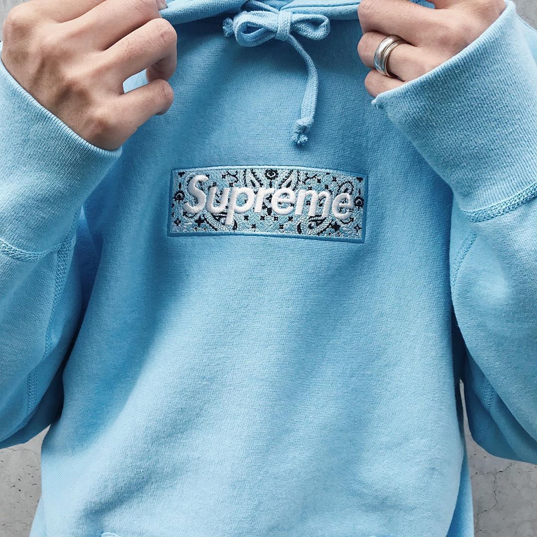 Supreme 248 Fruit Floral Embroidered Label SUP Bandana Box Logo Hooded Sweatshirt BOXLOGO Velvet Black Grey Red Pink Sky Blue S-XL S303# - Image 87