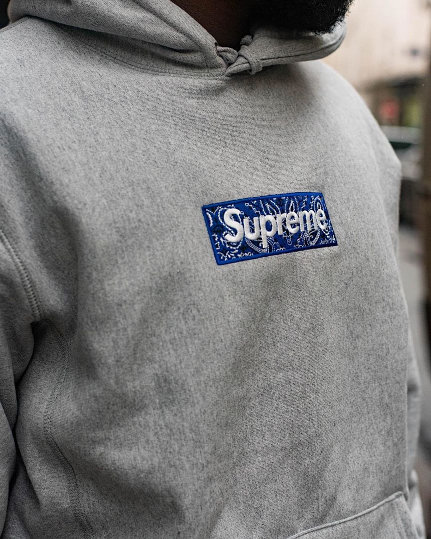 Supreme 248 Fruit Floral Embroidered Label SUP Bandana Box Logo Hooded Sweatshirt BOXLOGO Velvet Black Grey Red Pink Sky Blue S-XL S303# - Image 54