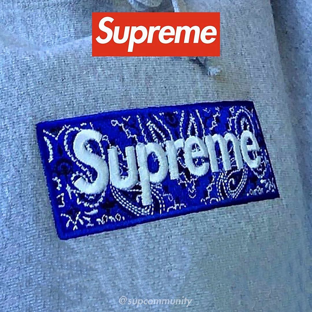 Supreme 248 Fruit Floral Embroidered Label SUP Bandana Box Logo Hooded Sweatshirt BOXLOGO Velvet Black Grey Red Pink Sky Blue S-XL S303# - Image 69