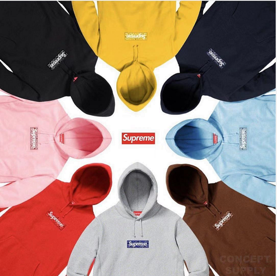 Supreme 248 Fruit Floral Embroidered Label SUP Bandana Box Logo Hooded Sweatshirt BOXLOGO Velvet Black Grey Red Pink Sky Blue S-XL S303# - Image 70