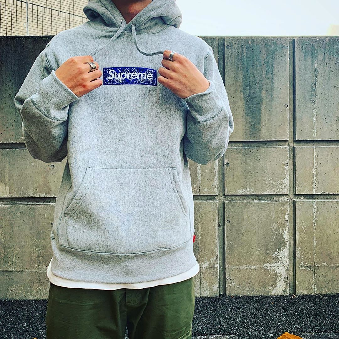 Supreme 248 Fruit Floral Embroidered Label SUP Bandana Box Logo Hooded Sweatshirt BOXLOGO Velvet Black Grey Red Pink Sky Blue S-XL S303# - Image 88