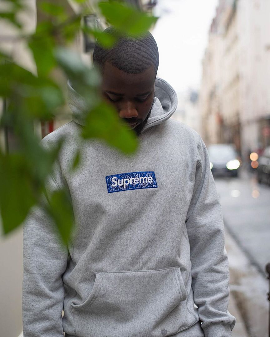 Supreme 248 Fruit Floral Embroidered Label SUP Bandana Box Logo Hooded Sweatshirt BOXLOGO Velvet Black Grey Red Pink Sky Blue S-XL S303# - Image 56