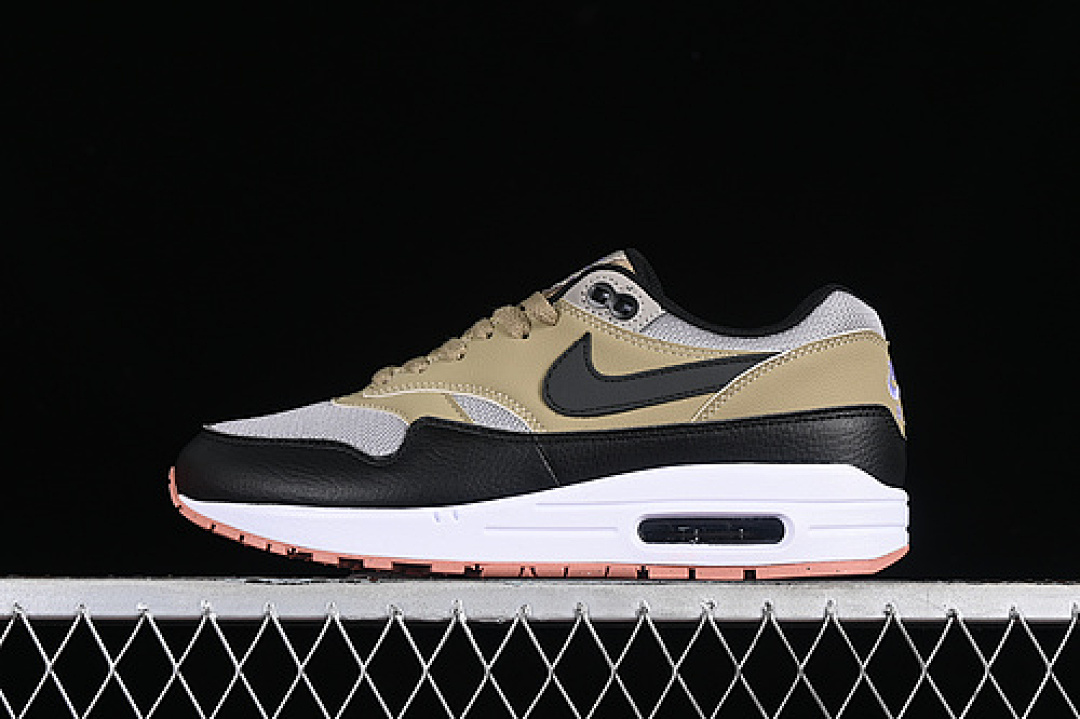 Nike AIR MAX 1 SC DARK STUCCO/BLACK/PHANTOM · FB9660-003, photo 1