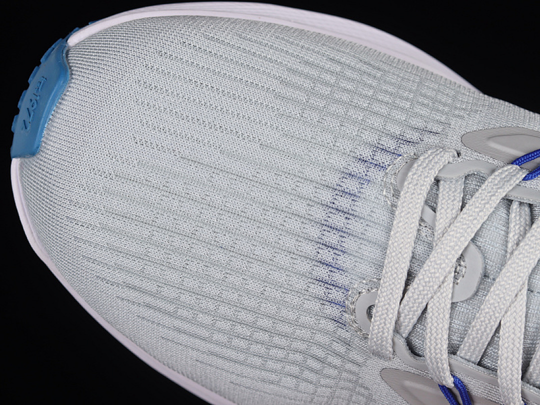 Nike [DR2042-001]-[AIR ZOOM PEGASUS 39 LIGHT GREY/BLUE/WHITE]-[MAN:39-45] - Image 9