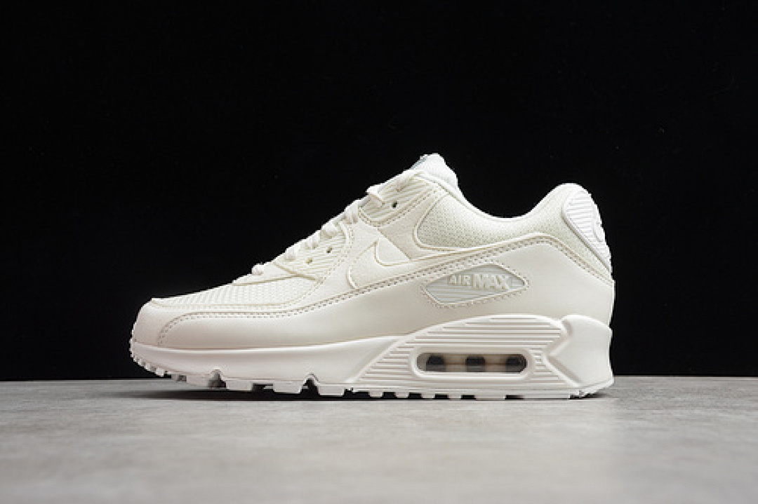 Nike AIR MAX 90 SAIL 30TH ANNIVERSARY BEIGE/BEIGE/WHITE · CT2007-100, photo 1