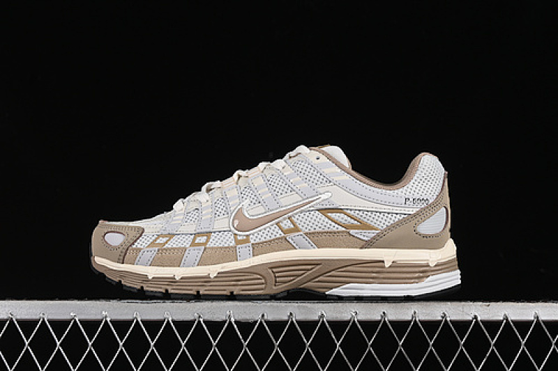 Nike Nike P-6000 PRM PHOTON DUST/KHAKI/LIGHT BONE/PALE IVORY/SAIL/BAROQUE BROWN · FQ8243-025, photo 1