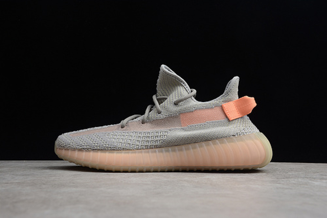 Adidas Adidas ST YEEZY BOOST 350 V2 TRUE FORM TRFRM/TRFRM/TRFRM · EG7492, photo 1