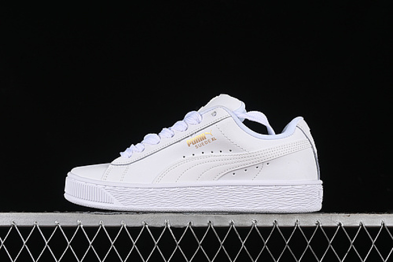 Puma Puma SUEDE XL WHITE/VAPOR GREY · 397255-01, photo 1